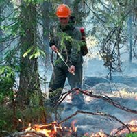 Статьи. Локализация и предупреждение лесных пожаров